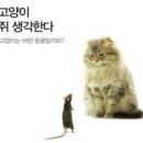 빨간고양이 - 중구 을지로 54-1 | 빨간고양이