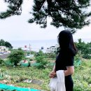 해운대블루라인(주)미포정거장 이미지