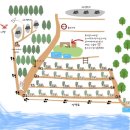 숲속노을로(1) 이미지