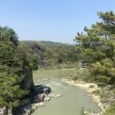 한탄강주상절리길 | 국내 가볼만한 곳 강원도 철원 한탄강 주상절리길 후기