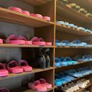 멍이와쿤이 이미지