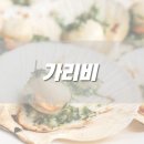 가리비 이미지