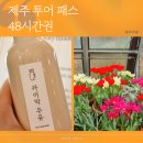 제주 패스 여행 제주투어패스 48시간권 관광지 방문 후기