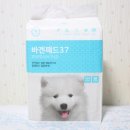 강아지패드, 바겐패드 고급형 흡수력 좋고 가격도 착해