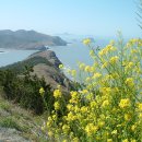 고향에봄 이미지