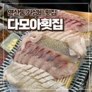 칭구야 | 부산 연산동 횟집 다모아횟집 내돈내산 솔직후기 칭구회포차 2호점