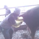 영생동물병원 이미지