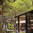 [일반] 라탄 공예 원데이클래스 / 오전 / 24.12.09 | [2024 태국] 치앙마이 여행 가볼만한 곳 예술인 마을 반캉왓