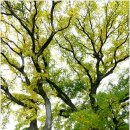 영암수성사 이미지