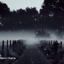 프랑크 푸르셀 악단(Franck Pourcel) - Merci Cherie. Adieu Jolie Candy. etc 10곡 이미지