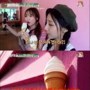 고란 이미지