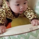 [하로월드] 미코앤미또+조이토들러 내츄럴 사용후기 기다리셔쭁??