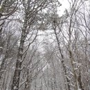 광주 무등산 등산(원효사-꼬막재-서석대-옛길-원효사 원점회귀)_1 이미지