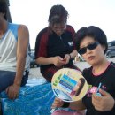 노음초등학교 이미지