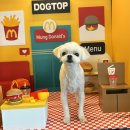 독탑라운지 이미지