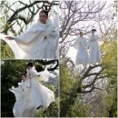 선진엔터테인먼트 이미지