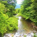 내서읍006 이미지