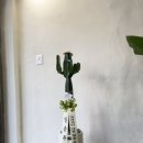 아이니안경원 이미지