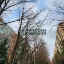 압구정-105 이미지