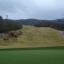 코스카cc 이미지