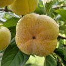 병영농장 이미지