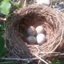 둥지농장 이미지