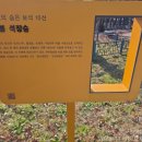 서천리 당산 이미지