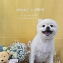 댕곤댕곤 이미지