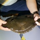 왜관ic실내바다낚시터 이미지