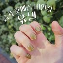 호매실파출소 | 금곡동, 호매실 네일샵 유넬 : 단색 자석네일 받고 온 후기