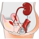 광주호연한의원 이미지