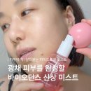(주)도영환경 | 올리브영 추천템 바이오던스 뿌리는 하이드로겔 콜라겐 미스트 후기
