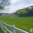 강원애니팜 이미지