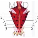 매드와이드 이미지