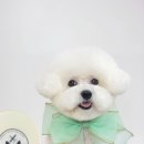 네임드 살롱 이미지