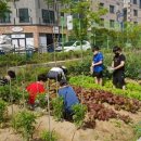 경산자인학교 이미지