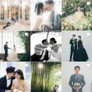 바라봄 컴퍼니 이미지