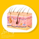 청담리더스피부과의원 이미지