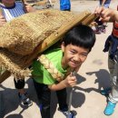 월랑초등학교 이미지