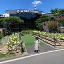 뽑기킹 | 경주 아이랑 실내 키즈카페 추천 현곡 월드킹 보스케점 무료 실내놀이기구 뽑기