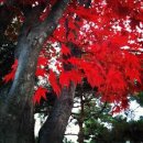 삼성수원OK한의원 이미지