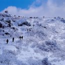 고산터널 등산로 이미지