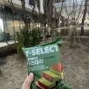 세븐돈산 네이버블로그