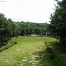 조견사우 이미지