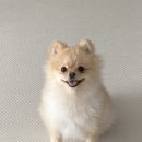 신일환동물병원 이미지