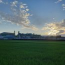 가래울1교 이미지