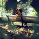 꿈의 대화 이미지