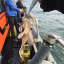 바다로가는길목 펜션 | 주꾸미 낚시 펜션 - 무창포 바다로 가는 길목 펜션