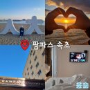 속초 | 속초해수욕장 근처 숙소, 팜파스 호텔&amp;리조트 속초