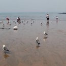 서해를품다